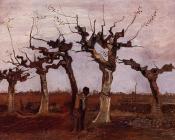 截去树梢的桦树景观 - 文森特·威廉·梵高